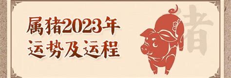 1995属猪2024年运程|1995年属猪人2024年全年运势详解 29岁生肖猪2024年。